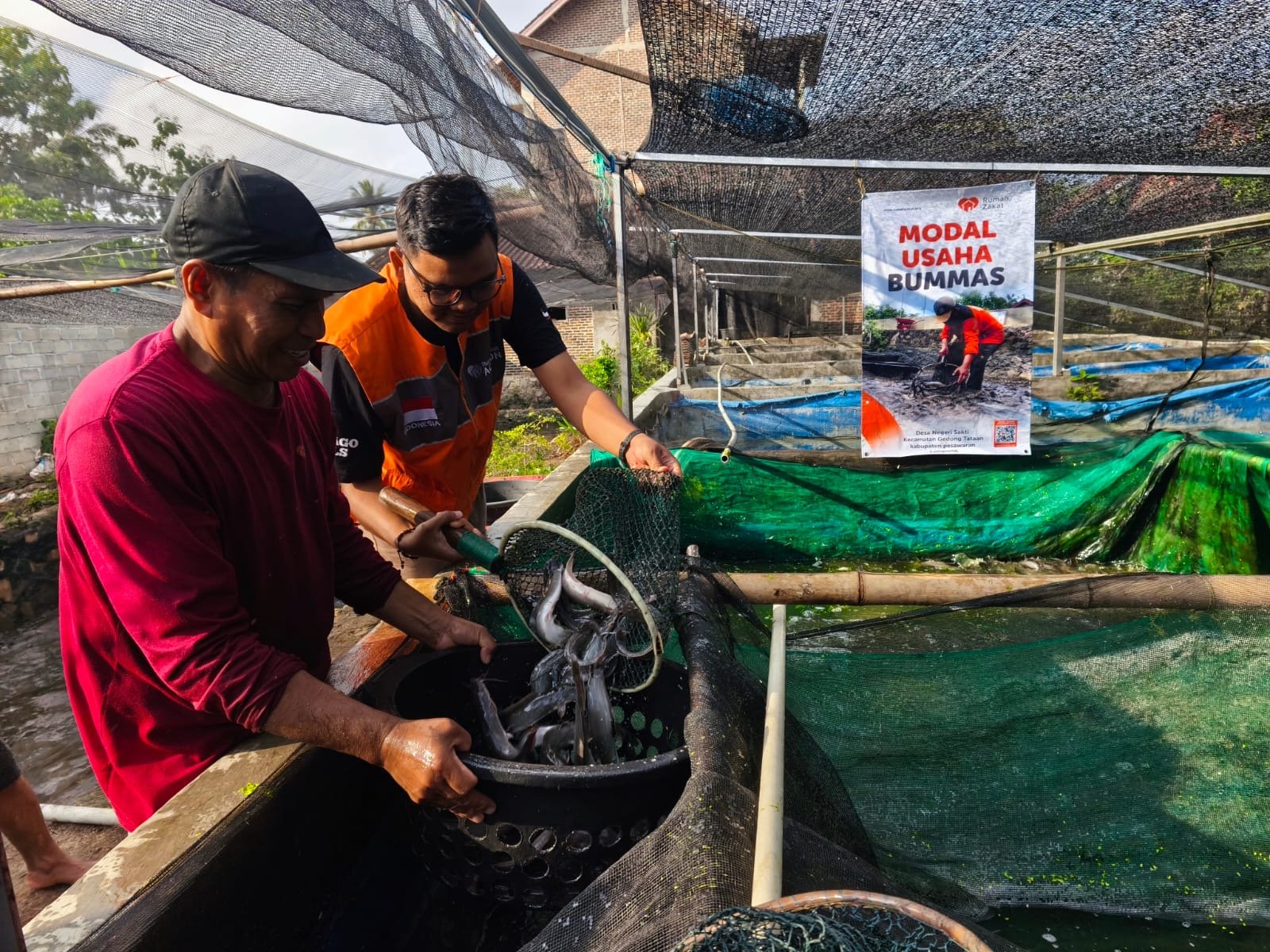 Salah satu bimbingan Rumah Zakat Lampung adalah budidaya ikan Air Tawar.(foto:ist)