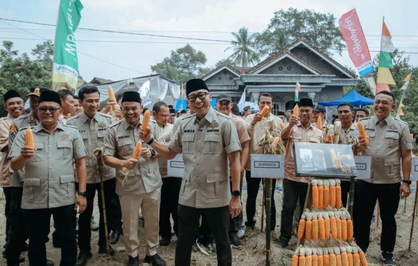 Komoditas jagung yang berkenaan dengan nasib satu juta petani jagung, menjadi salah satu perhatian Gubernur Mirza. (Foto: ist)
