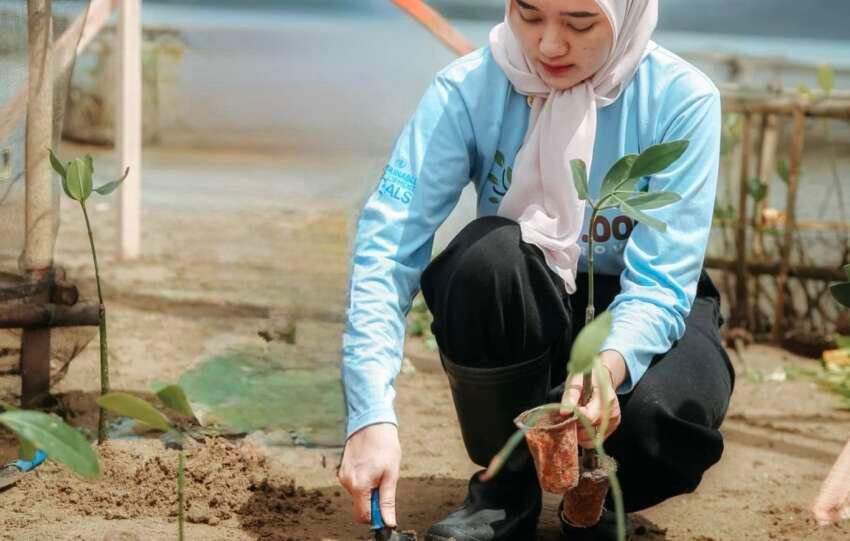 Wagub Jihan saat menanam mangrove.(foto: ist)