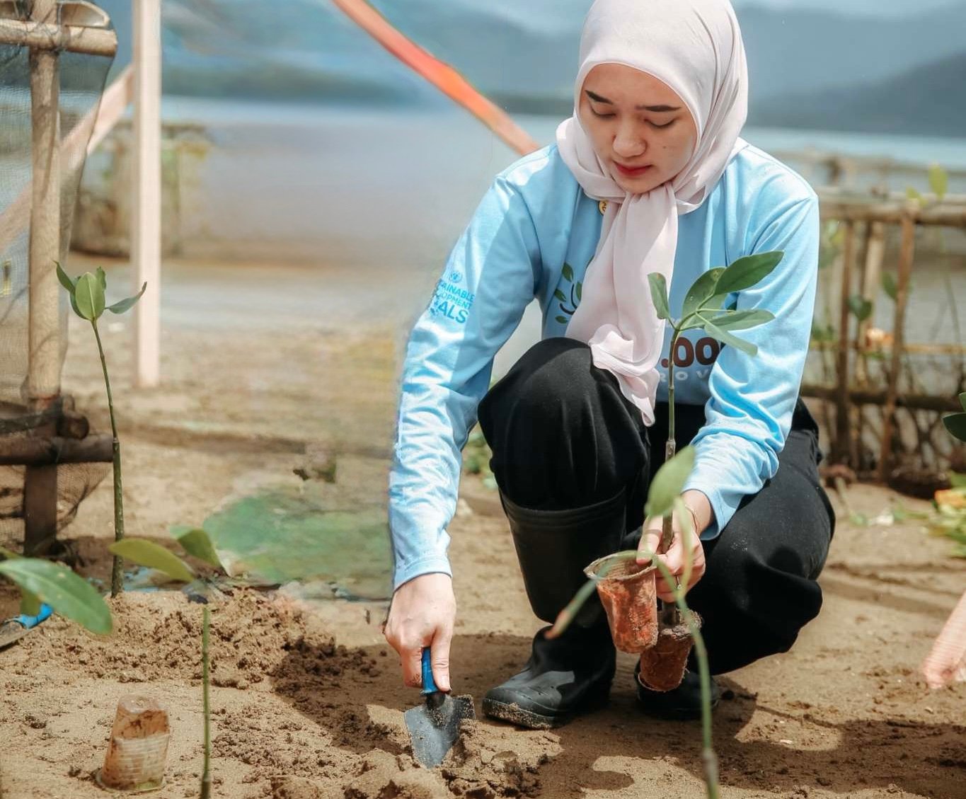 Wagub Jihan saat menanam mangrove.(foto: ist)